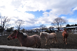 DSC_0003.JPG